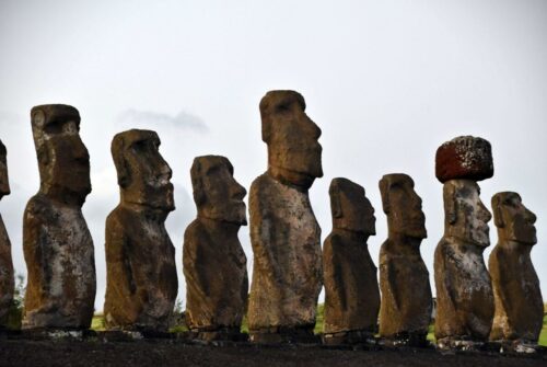 DSC 0398 (1) (1) (1) (1)