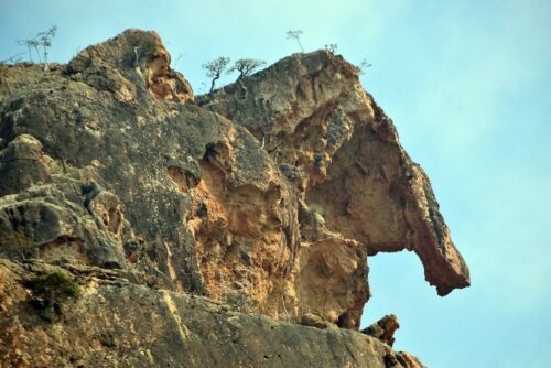 DSC 0399 (1) (1) (1) (1) (1)