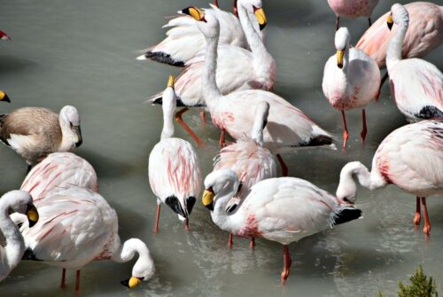 DSC 0399 (1) (1) (1) (1) (1) (1)