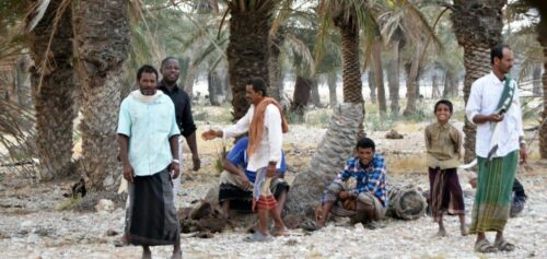 DSC 0402 (1) (1) (1) (1)