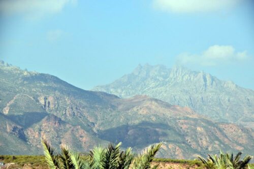 DSC 0404 (1) (1) (1)