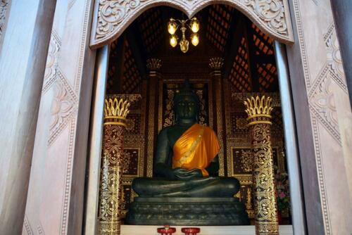 DSC 0409 (1) (1)