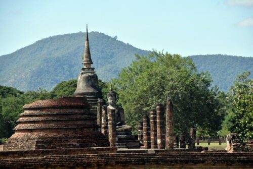 DSC 0415 (1) (1) (1)