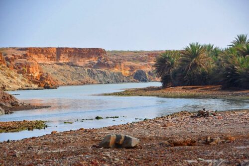 DSC 0416 (1) (1) (1) (1)