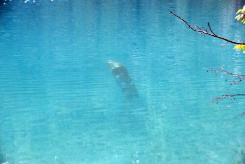 DSC 0417 (1) (1) (1) (1) (1) (1)