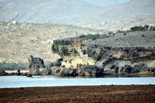 DSC 0421 (1) (1) (1) (1) (1)