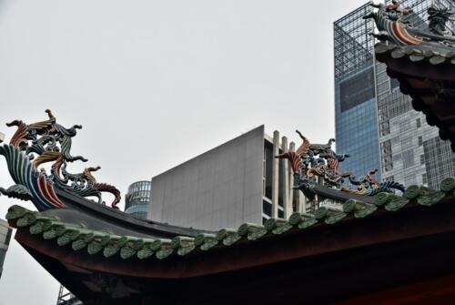DSC 0424 (1) (1) (1)