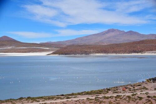 DSC 0443 (1) (1) (1)