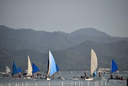 DSC 0444 (1) (1)