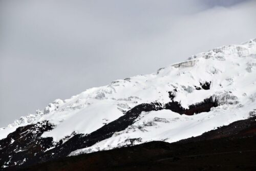 DSC 0445 (1) (1)