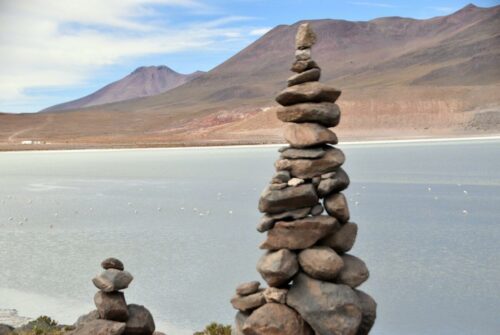 DSC 0446 (1) (1) (1)