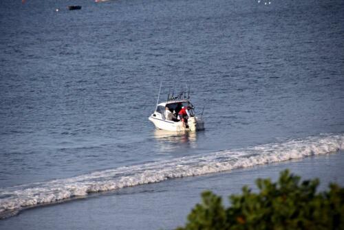 DSC 0449 (1) (1)