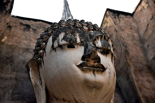 DSC 0449 (1) (1) (1)