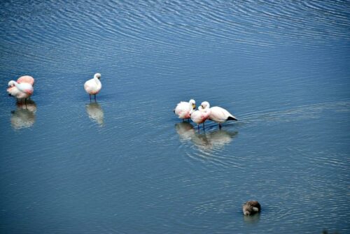 DSC 0449 (1) (1) (1) (1)