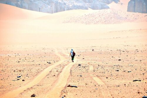 DSC 0460 (1) (1) (1) (1)