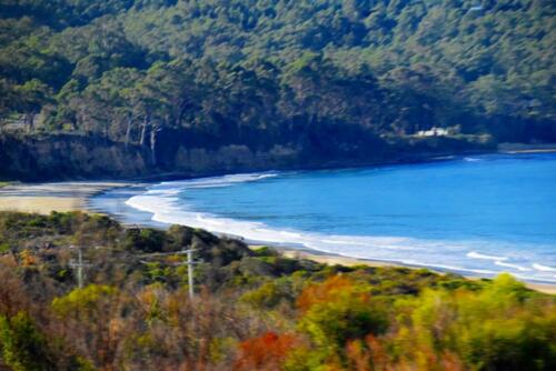 DSC 0466 (1) (1)