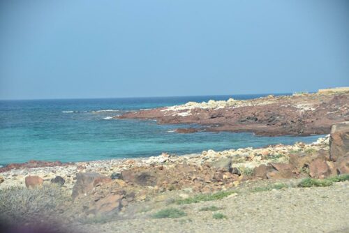 DSC 0466 (1) (1) (1)