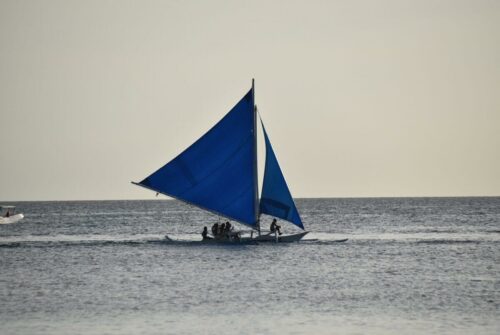 DSC 0473 (1)