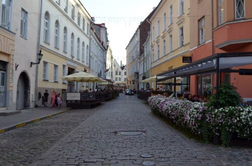 DSC 0473 (1) (1)