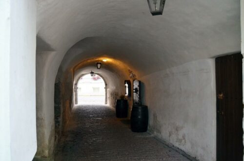 DSC 0484 (1) (1) (1)