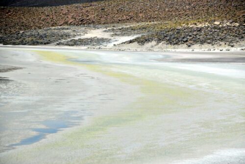 DSC 0491 (1) (1) (1) (1)