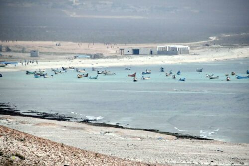 DSC 0495 (1) (1) (1)