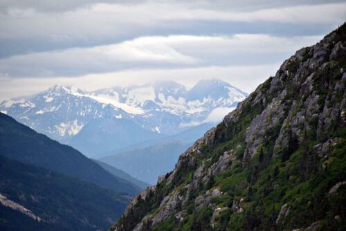 DSC 0499 (1) (1)