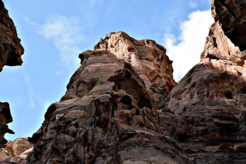 DSC 0505 (1) (1) (1)