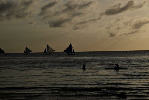 DSC 0519 (1) (1)