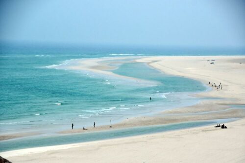 DSC 0523 (1) (1) (1) (1) (1) (1)