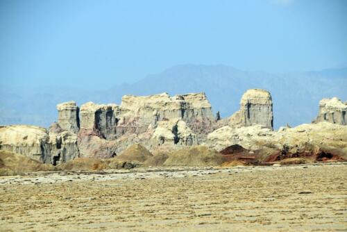 DSC 0526 (1)