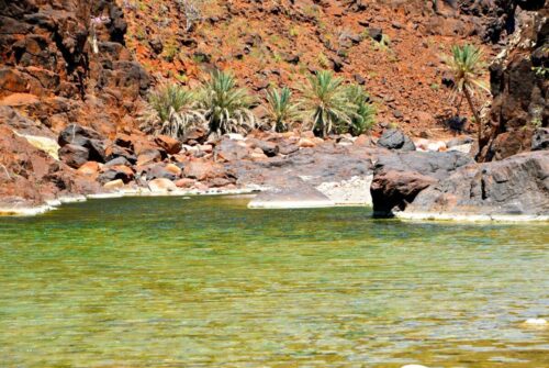 DSC 0527 (1) (1) (1)