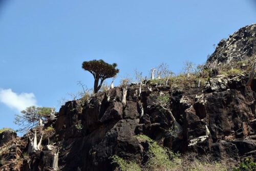 DSC 0532 (1) (1) (1) (1)