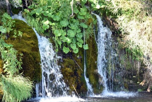 DSC 0533 (1) (1) (1)