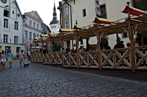 DSC 0537 (1) (1) (1)