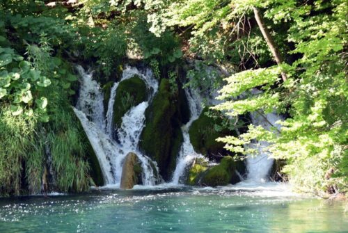 DSC 0554 (1) (1) (1) (1)