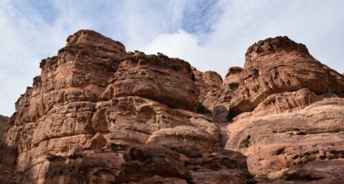 DSC 0555 (1) (1)