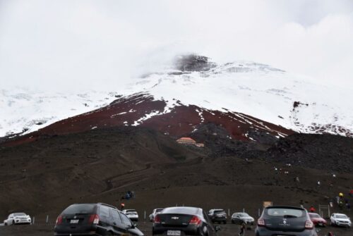 DSC 0556 (1) (1) (1)