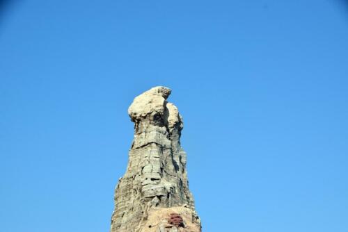 DSC 0559 (1) (1)