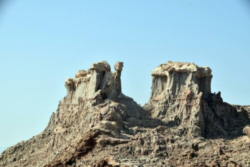 DSC 0560 (1) (1) (1)
