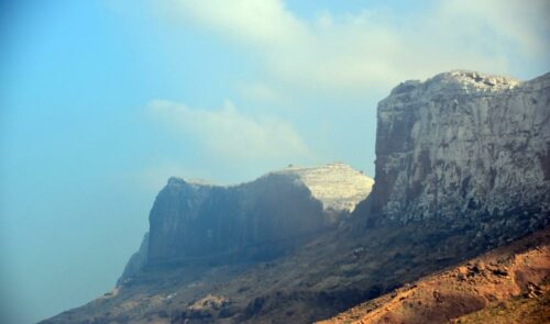 DSC 0561 (1) (1) (1)