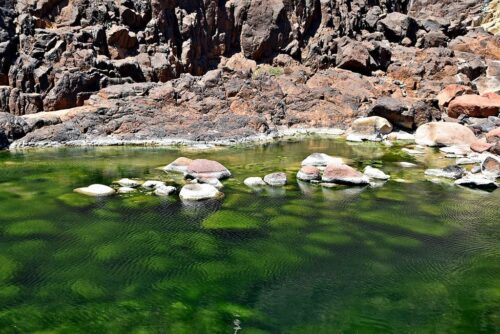 DSC 0561 (1) (1) (1) (1)