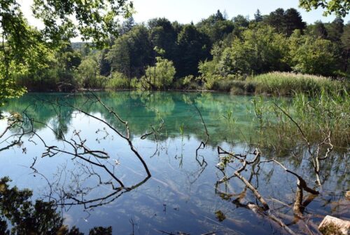 DSC 0565 (1) (1) (1) (1)