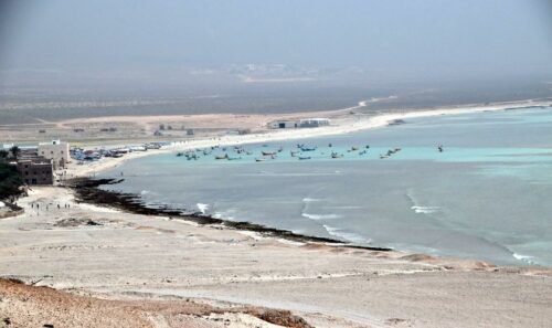 DSC 0565 (1) (1) (1) (1) (1)