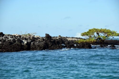 DSC 0577 (1) (1)