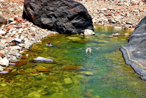 DSC 0586 (1) (1) (1) (1)