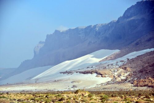 DSC 0586 (1) (1) (1) (1) (1)