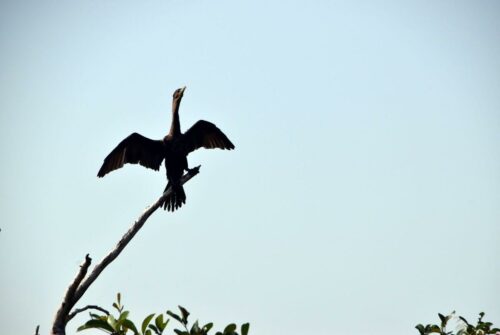 DSC 0588 (1) (1) (1) (1)