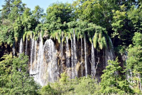 DSC 0597 (1) (1) (1)