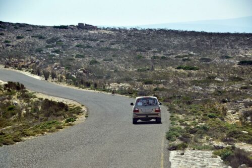 DSC 0600 (1) (1) (1)